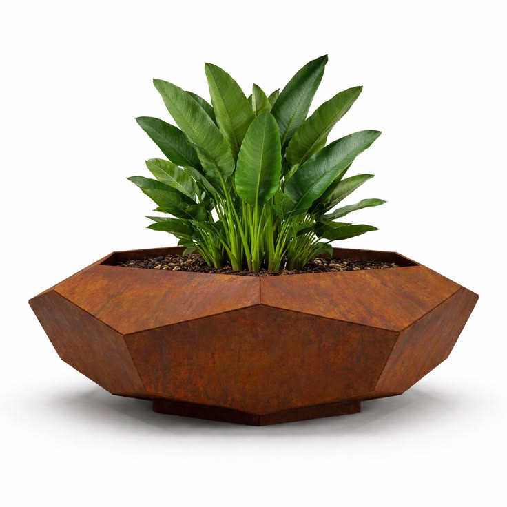 Corten Garden: Saksı & Peyzaj Çözümleri